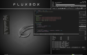 tara fluxbox style
